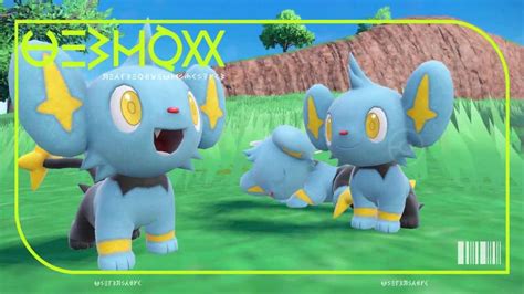 luxray melhor nature.